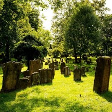 Jüdischer Friedhof / Foto: © Tourist-Information Worms Jüdischer Friedhof